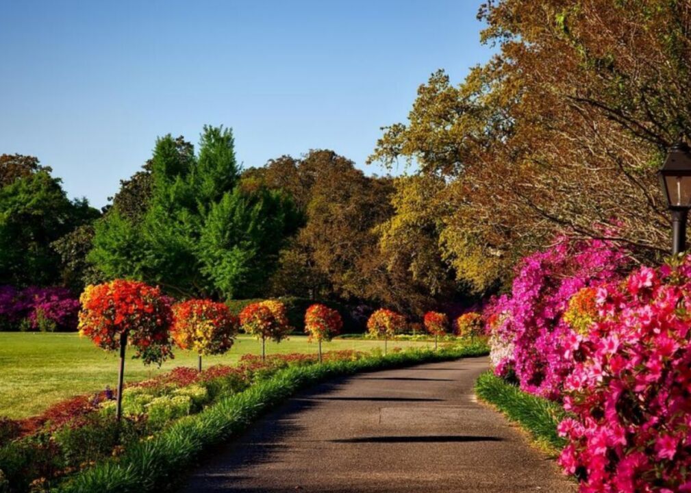 #44. Alabama